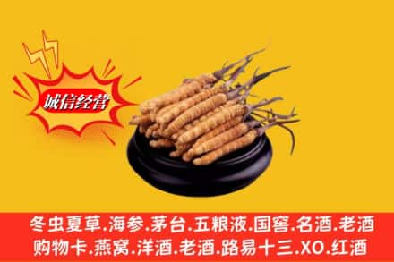 兴安县名酒回收冬虫夏草.jpg
